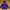 PURPLECOW Purple Cow Sweatshirt Hoodie photo 1
