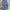 Levi's Indie Casual Jeans Pria blue photo 1