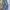Levi's Indie Casual Jeans Pria Blue