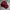 Fucking Awesome Spiral Cap - Maroon photo 2