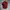 Fucking Awesome Spiral Cap - Maroon photo 1