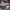 Michael Kors Luxury Bags & purse Wanita burgundy photo 6