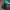 Sportswear Windbreaker Pria multicolor photo 3