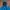 Sportswear Windbreaker Pria Multicolor