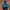 Sportswear Windbreaker Pria Multicolor
