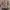 Zara Grunge Casual Trench Coat Wanita Tan Brown