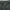 TATE Vintage Casual Sweatshirt Pria Green