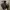 Partimento Streetwear Casual Parka Pria black photo 5
