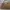 Michael Kors Luxury Bags & Purse Wanita Tan