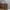 Michael Kors Luxury Bags & Purse Wanita Tan