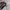 Vans Skater Casual Sneakers Pria burgundy gray photo 6