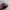 Vans Skater Casual Sneakers Pria burgundy black photo 6