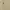 Beverly Hills Polo Club Vintage Y2K Polo shirt Pria cream tan photo 3