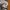 Yeziik of nine tiger stripe halfzip anorak cagoule hoodie photo 4