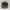 New Era Casual Hat Pria green photo 4