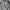 Casual Windbreaker Pria gray photo 4