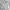Casual Windbreaker Pria gray photo 1