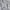 Casual Windbreaker Pria gray photo 6