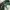 Topi MLB Streetwear Sportswear Hat Pria “Oakland Athletics” photo 8