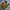 Carhartt WIP Essentials Bag Small - Hamilton Brown photo 2