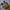 Carhartt WIP Essentials Bag Small - Hamilton Brown photo 3