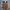 Carhartt WIP Essentials Bag Small - Hamilton Brown photo 6