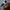 Carhartt WIP Essentials Bag Small - Hamilton Brown photo 4