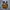 Carhartt WIP Essentials Bag Small - Hamilton Brown photo 1