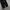 Middle Nylon Cargo Wide Balloon Pants photo 5