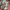 Dickies Streetwear Skater Casual shirt Pria red cream photo 4