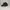 New Era Casual Hat Pria navy photo 2