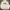 Codegraphy Streetwear Casual Suit Pria gray photo 1
