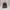 New Era Casual Hat Pria burgundy photo 1