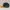 New Era Casual Hat Pria Yellow Navy