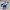 VANS OLD SKOOL PRO STY NAVY ( BNIB ) photo 3
