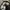 Von Dutch Streetwear Biker Hat Pria cream photo 3