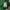 Uniqlo Casual Cardigan Wanita green photo 5