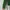 Uniqlo Casual Cardigan Wanita green photo 4