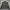 Carhartt WIP Detroit Jacket - Cypress Green photo 6