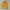 Polo Ralph Lauren Casual Hoody Kids yellow photo 1