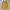 Polo Ralph Lauren Casual Hoody Kids Yellow