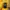 Polo Ralph Lauren Casual Hoody Kids yellow photo 4