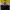 Adidas Streetwear Sportswear Sweater Pria yellow navy photo 1