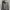 Guess Casual Fleece Pria green khaki photo 2