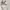 thisisneverthat Casual Track jacket Pria gray photo 4