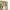 Basic Japanese active waist tailored trousers tan photo 5
