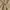 Basic Japanese active waist tailored trousers tan photo 7