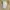 Basic Japanese active waist tailored trousers tan photo 6
