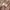 Missoni Vintage Casual Shirt Wanita multicolor photo 3