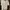 Balmain Casual T-shirt Wanita white photo 1
